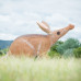 Wildcrete Aardvark